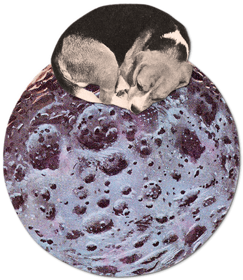 Собака спит на планете